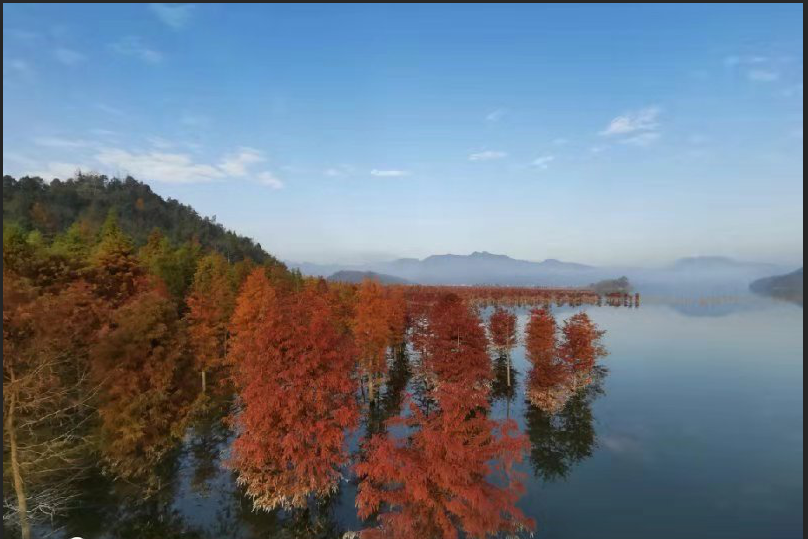 如何考进浙江大学？有哪些途径？