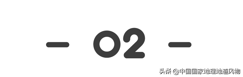 小白杏、大接杏、水蜜杏......中国到底哪里的杏子最好吃？