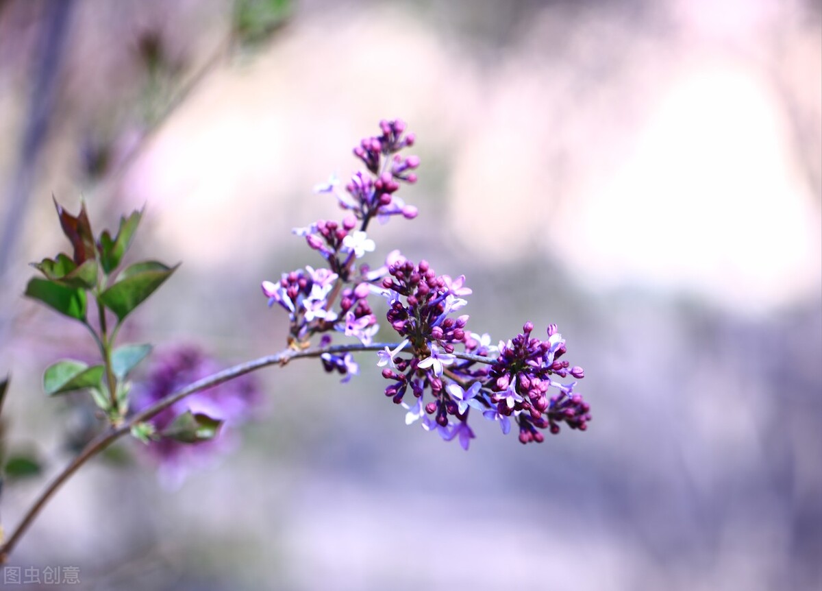 2021内蒙古财经大学录取分数