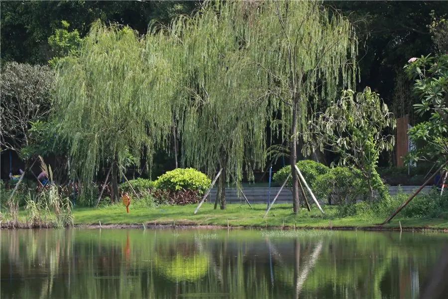 番禺4个村入选“广州最美”，是你的村吗？快来瞧瞧~