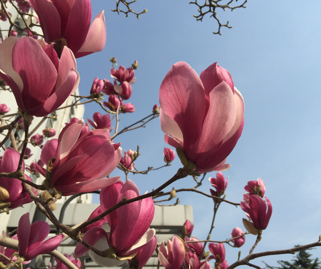 华北电力大学北京2017-2018年录取分数统计