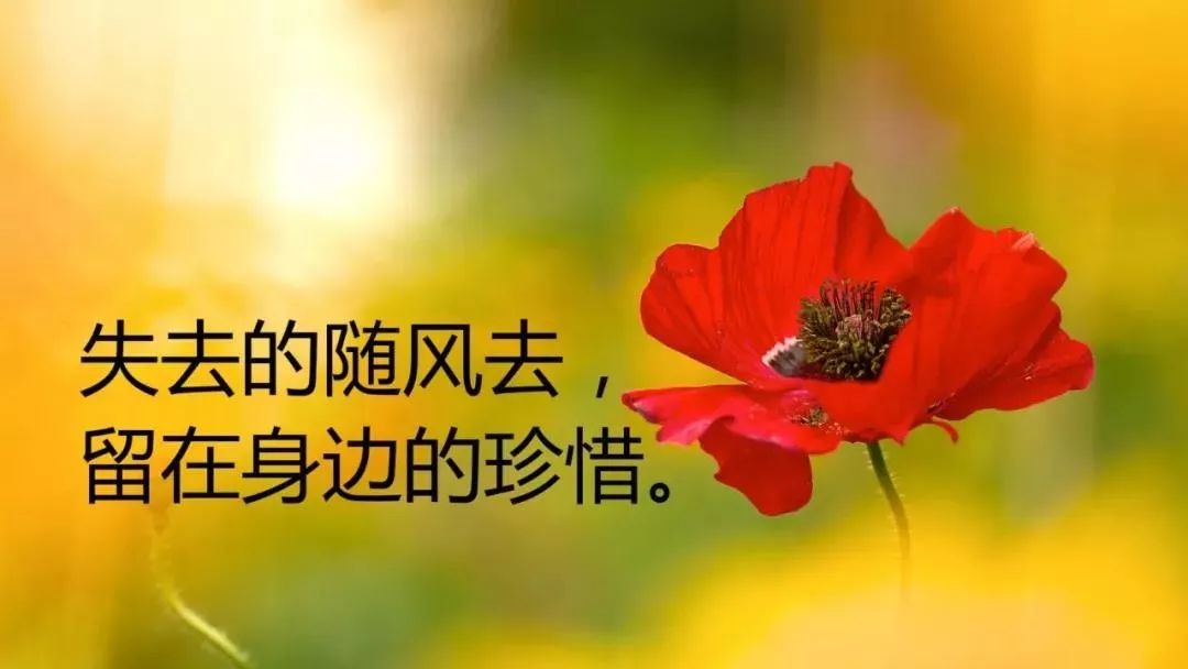 感悟人生的哲理句子,精辟透彻