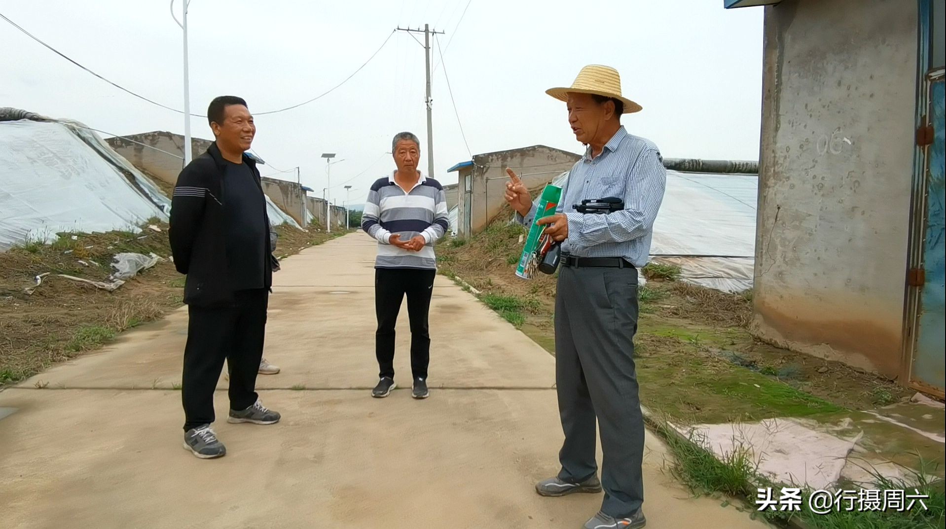 棗樹管理,棗樹管理方法
