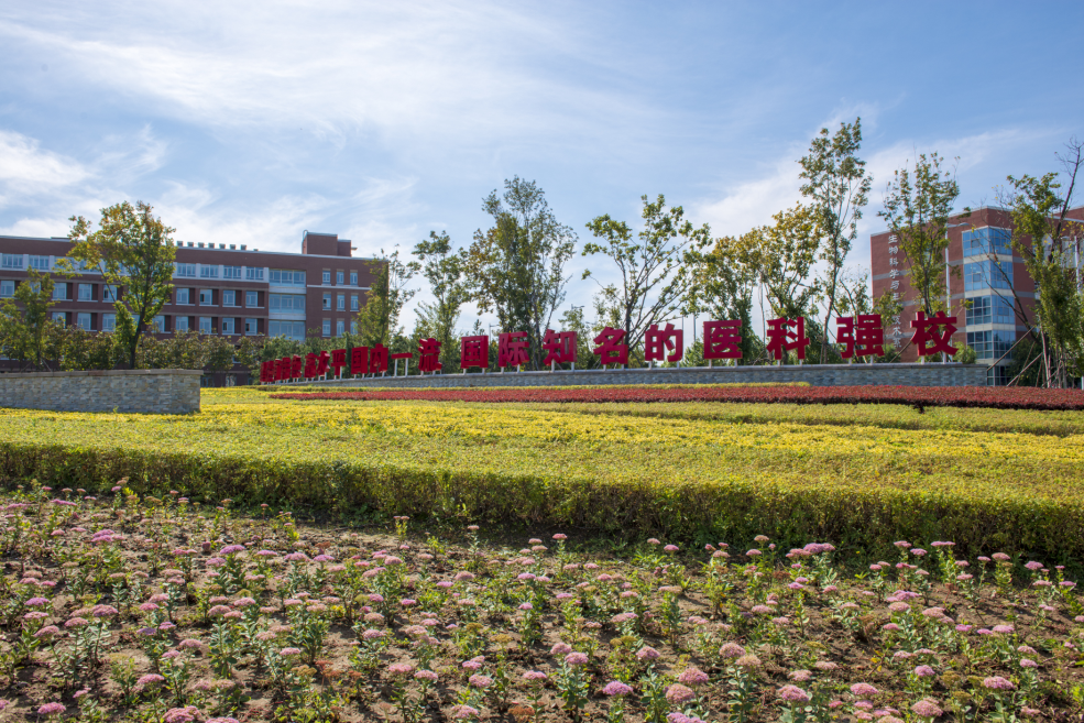 曝光！2020届毕业生就业满意度最高专业TOP20重磅揭晓！