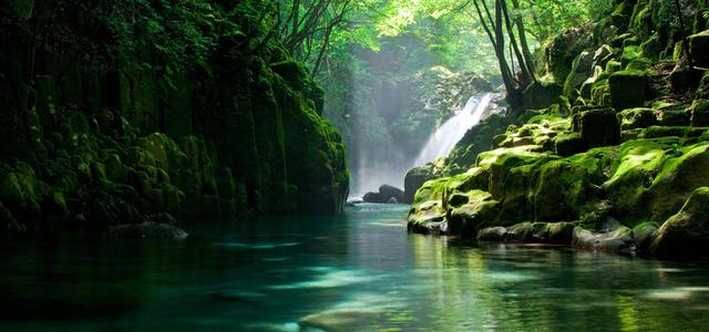 敬畏：万物皆有灵，天地不可欺！