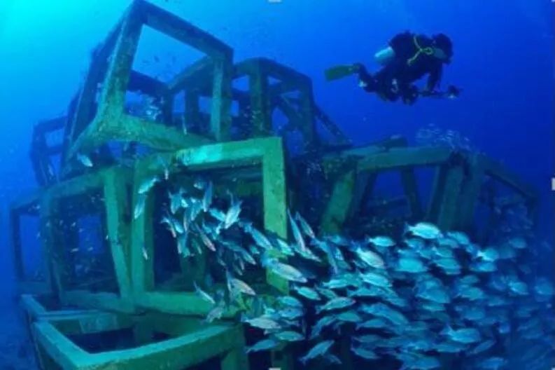 海洋牧场建设——海洋资源利用的一场重大产业革命