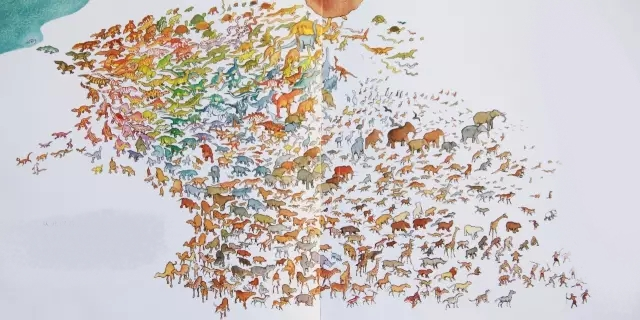 细节中见高低，《一条聪明的鱼》：告诉孩子追梦的脚步，不该停