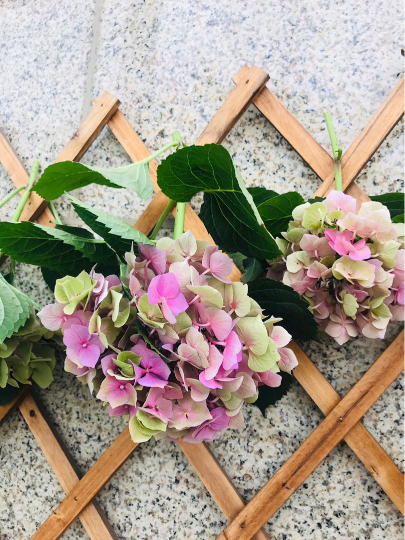 制作干花的方法（这种方法让你制作成永生花和干花）