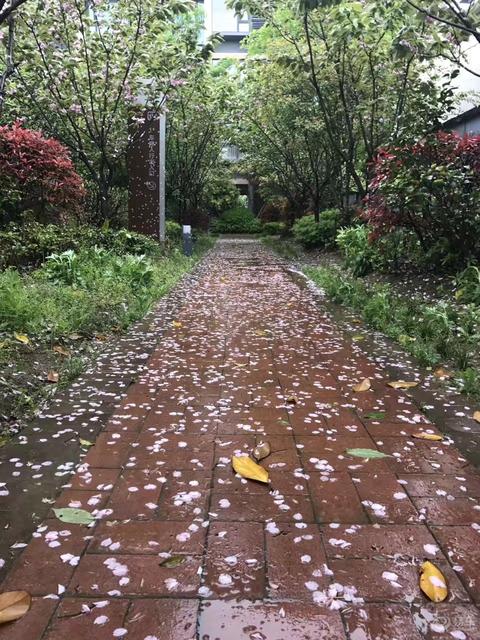 不知从何时起,爱上了这烟雨迷蒙的天气.
