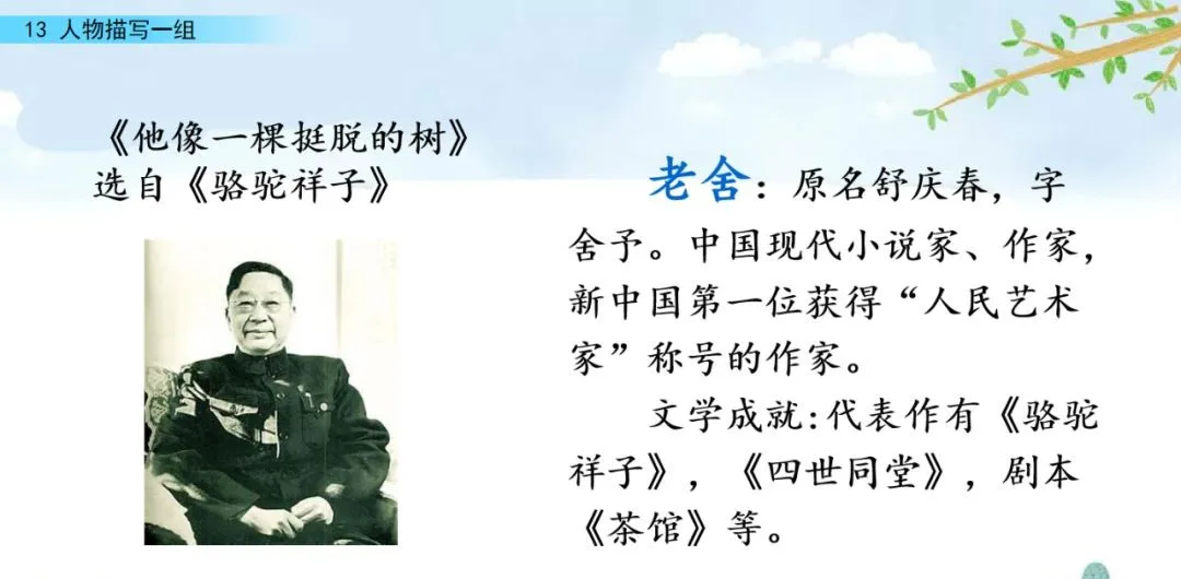 部编五年级语文下册第13课《人物描写一组》》知识点及课堂测试题
