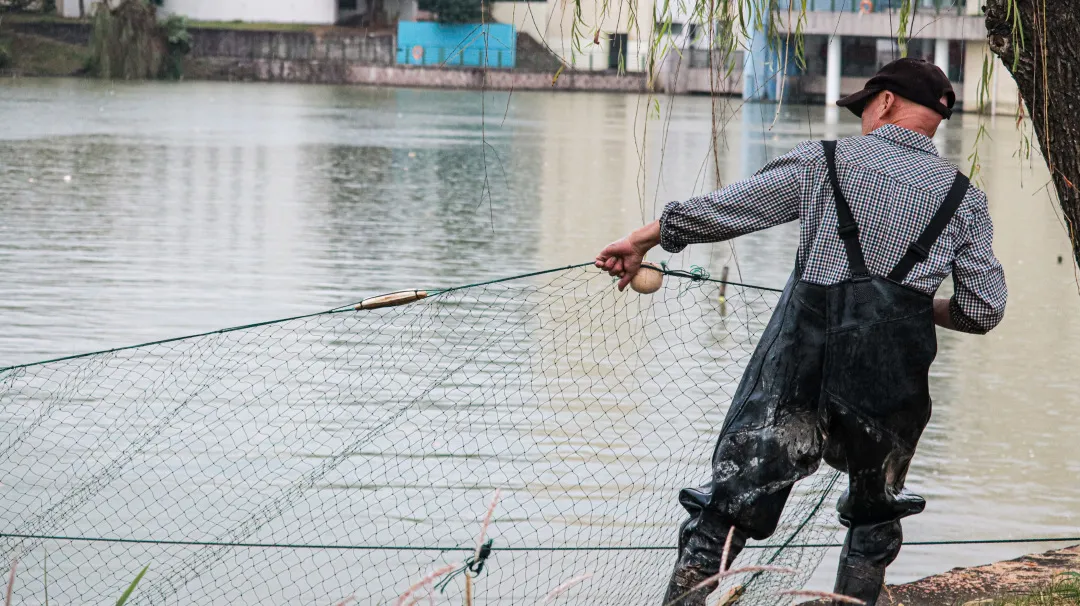 金职喊你免费吃鱼啦