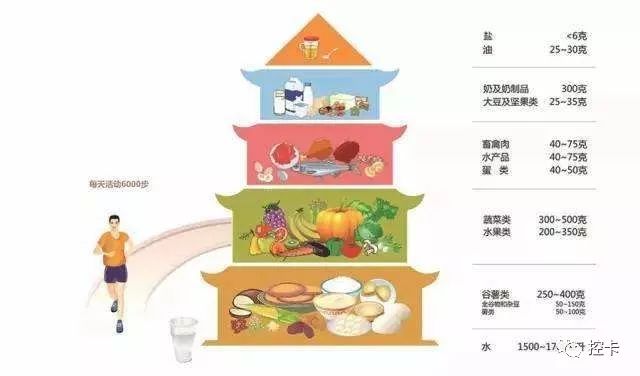 白芸豆提取物的功效与作用（详解白芸豆提取物的营养价值）