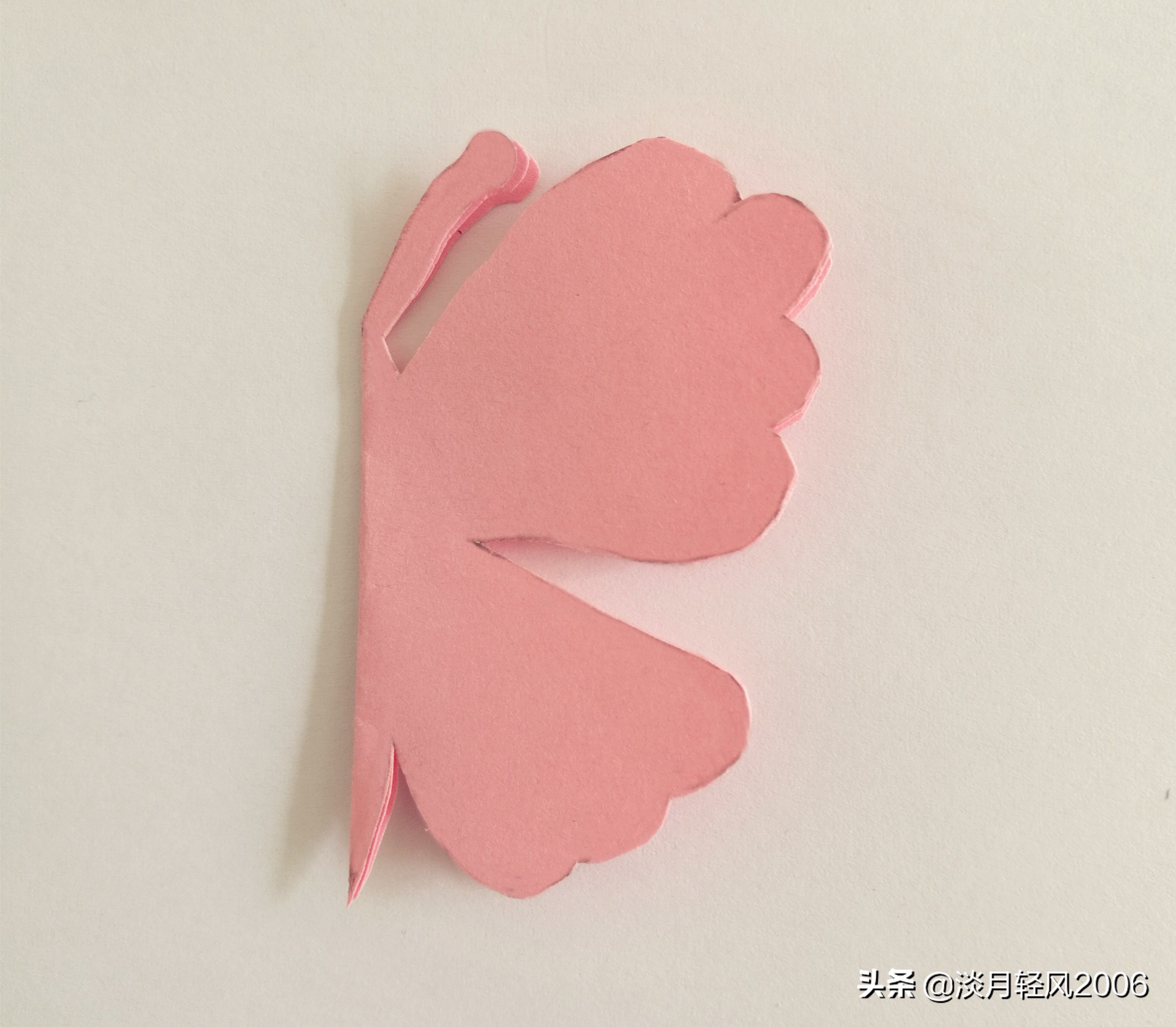 半个蝴蝶的形状,见下图对折一下,如下图所示把两张正方形卡纸叠放整齐