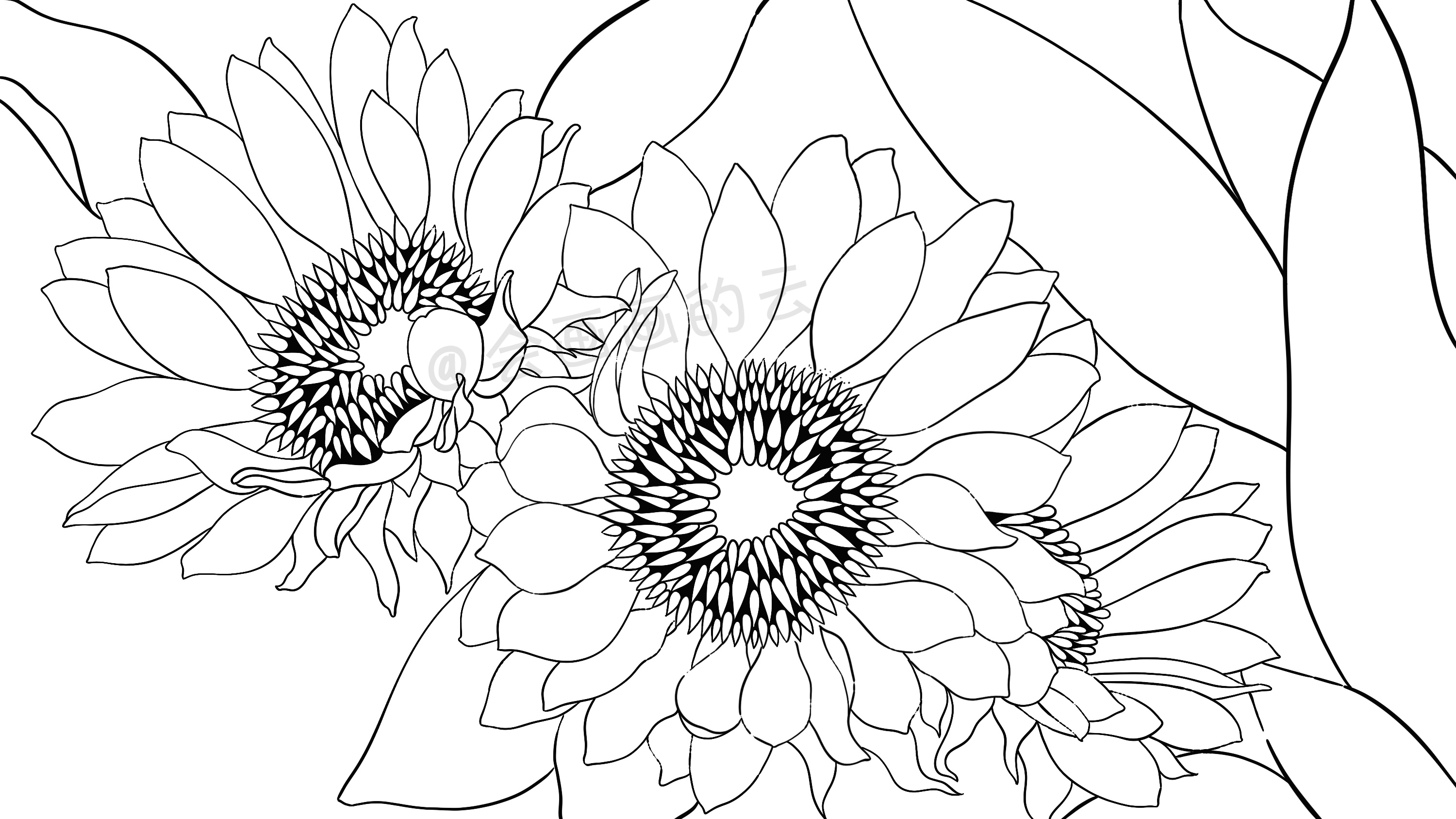 线条的魅力，线描插画过程图详细步骤讲解，教你如何零基础画画