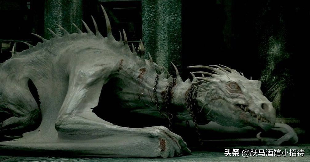 给麻瓜的《神奇动物百科》，魔法世界的动物到底有多神奇（长文）