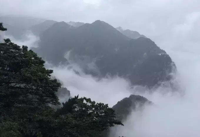 寻一处静谧，赶一场春雨