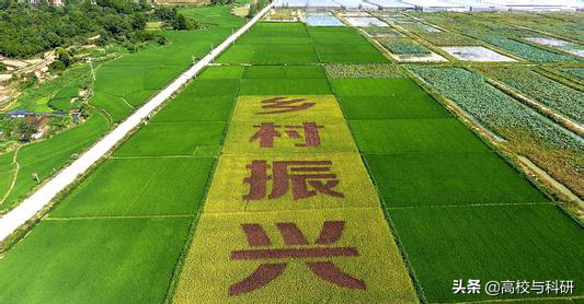 青岛农业大学，山东省最值得关注的高校之一！