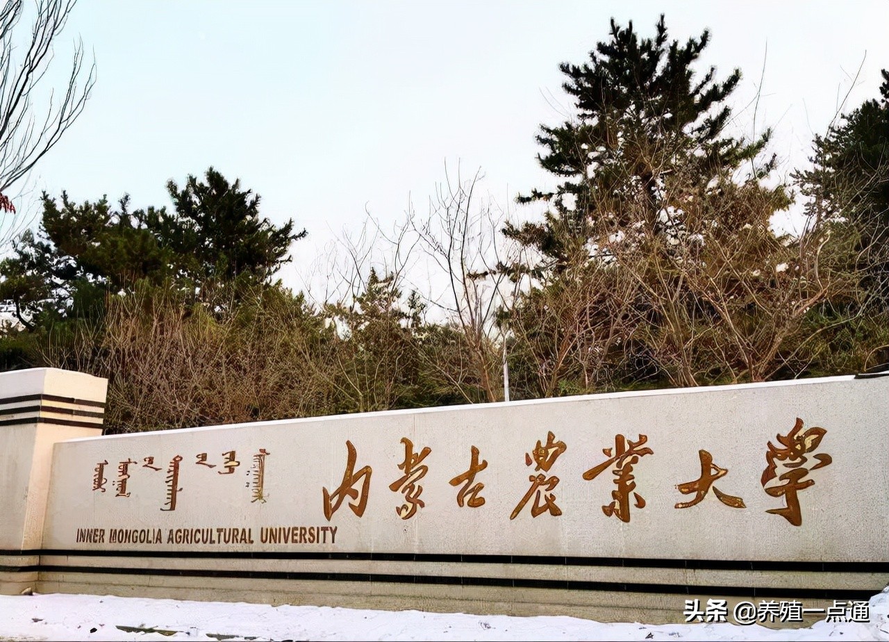 娜仁花（女），内蒙古农业大学教授、博导，动物繁育专家