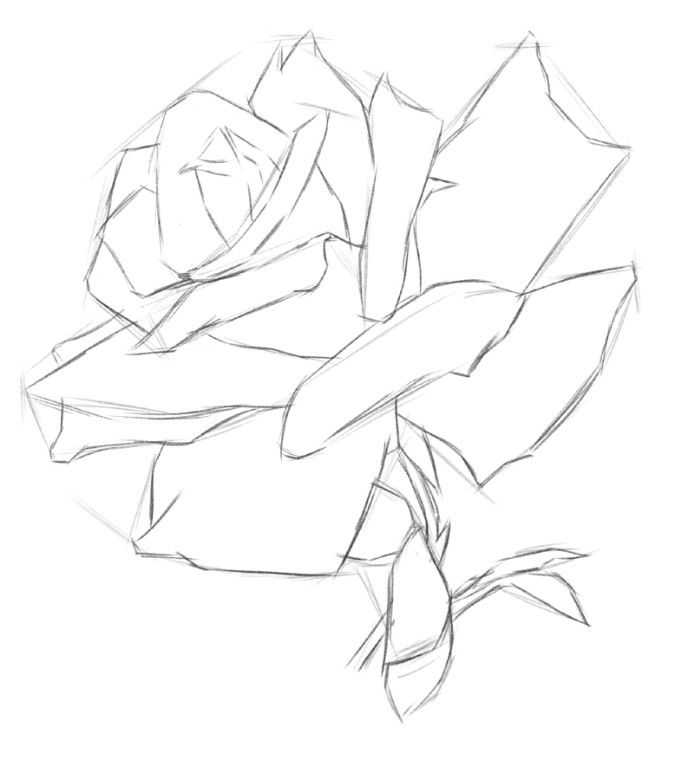 最详细的玫瑰花画法步骤教程,简单易学,小白也能学会!