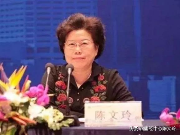 陈文玲：必须改变分析国内外经济形势的传统思维方式