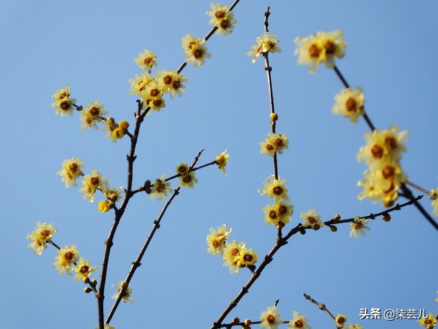 53岁女人感悟：背叛过，就是一辈子的隔阂，没办法和好如初