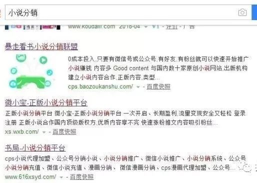 如何操作小说分销项目月赚2万