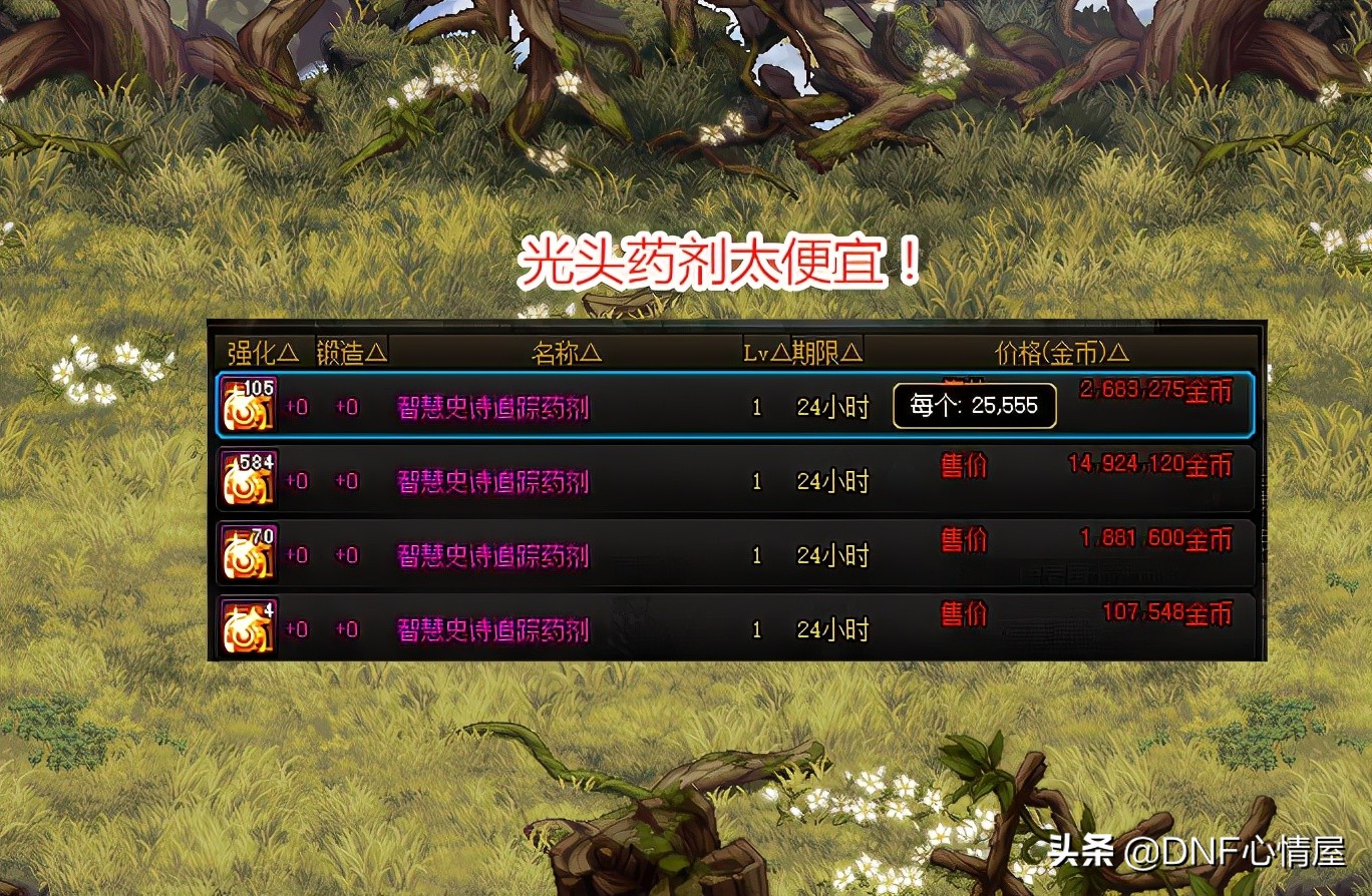 DNF：25号道具一览！光头药剂不到3W，堕落SS拍卖行虚高