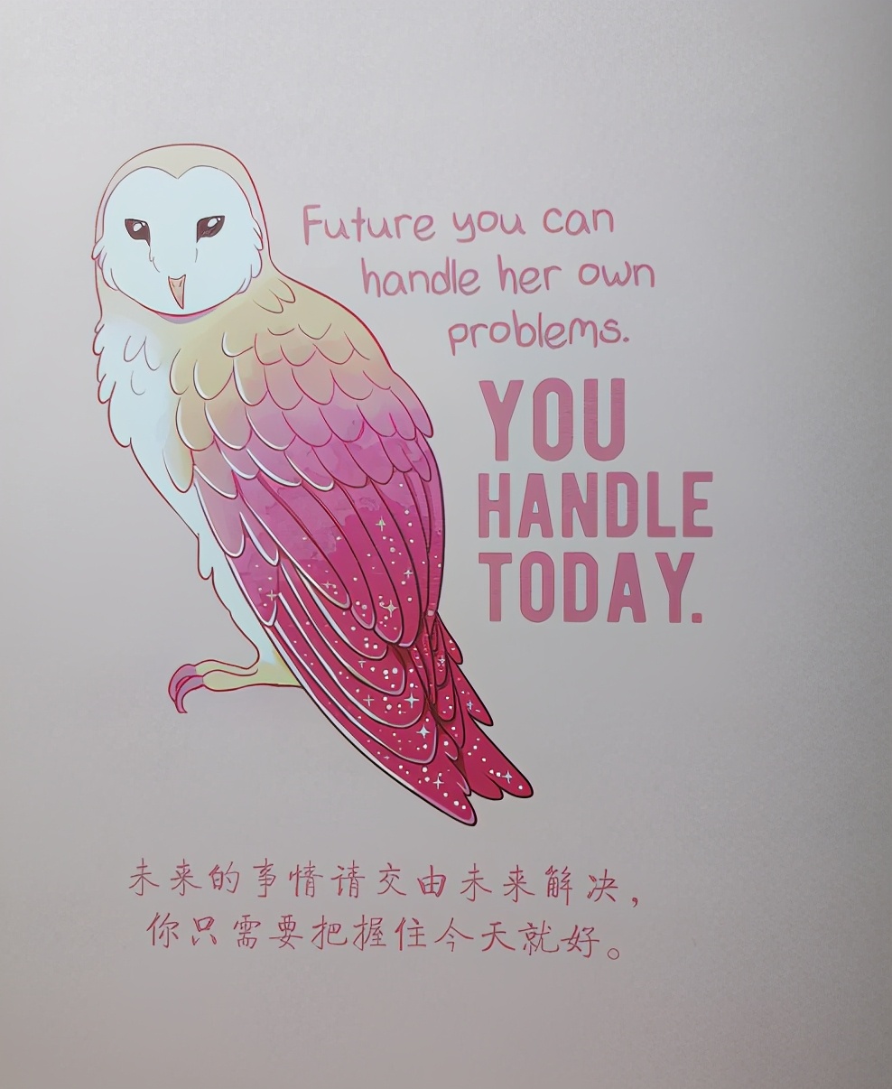 生活总有不如意，不妨做只柔软的刺猬，只吸引值得的人和事