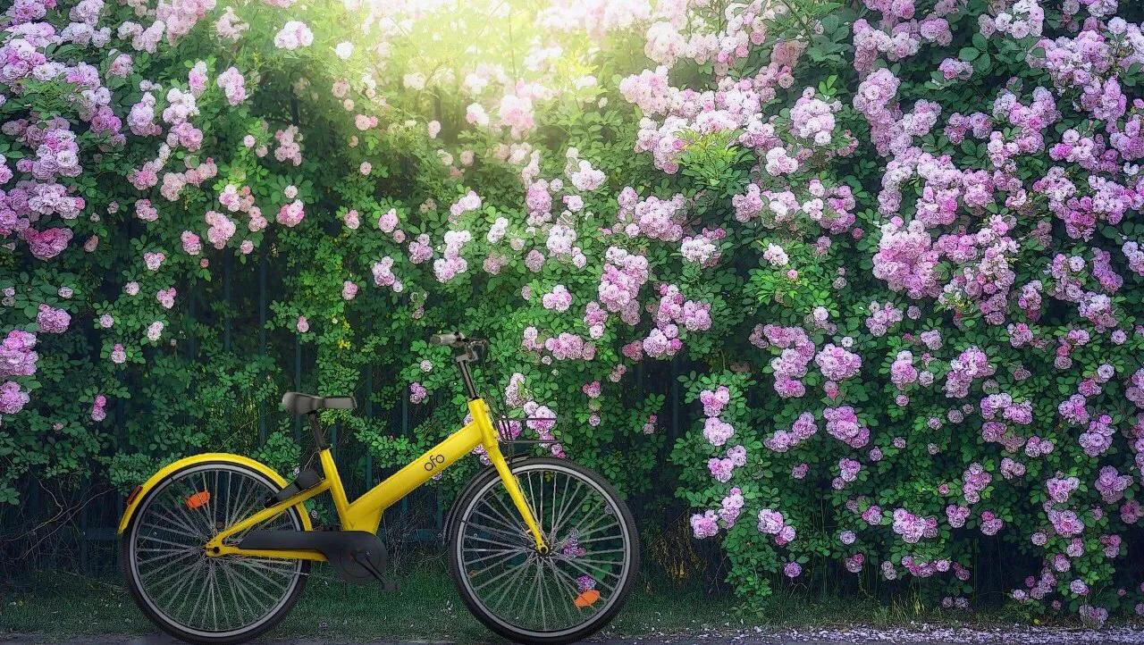 可能会度过夏天