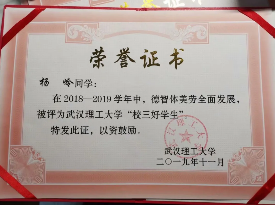 武汉“学霸”四兄弟：考进同所大学，全员斩获奖学金，如今又集体保研985！