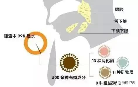 情侣接吻时,为什么不觉得对方的口水恶心呢?