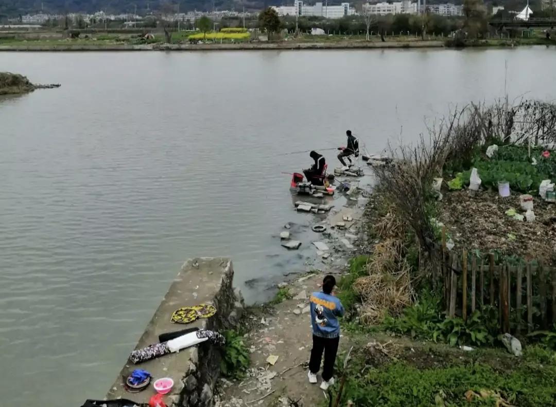 金鱼悠游：生命轮回的诗意隐喻