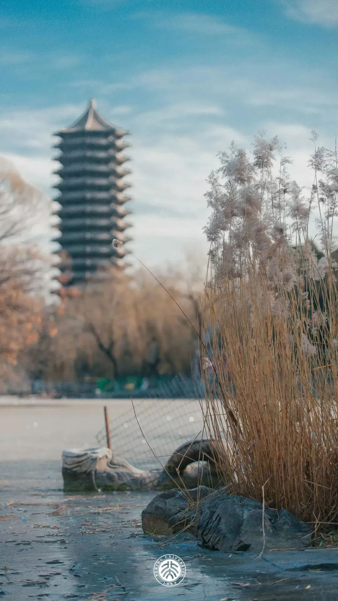 复旦大学壁纸（各大名校高清壁纸）