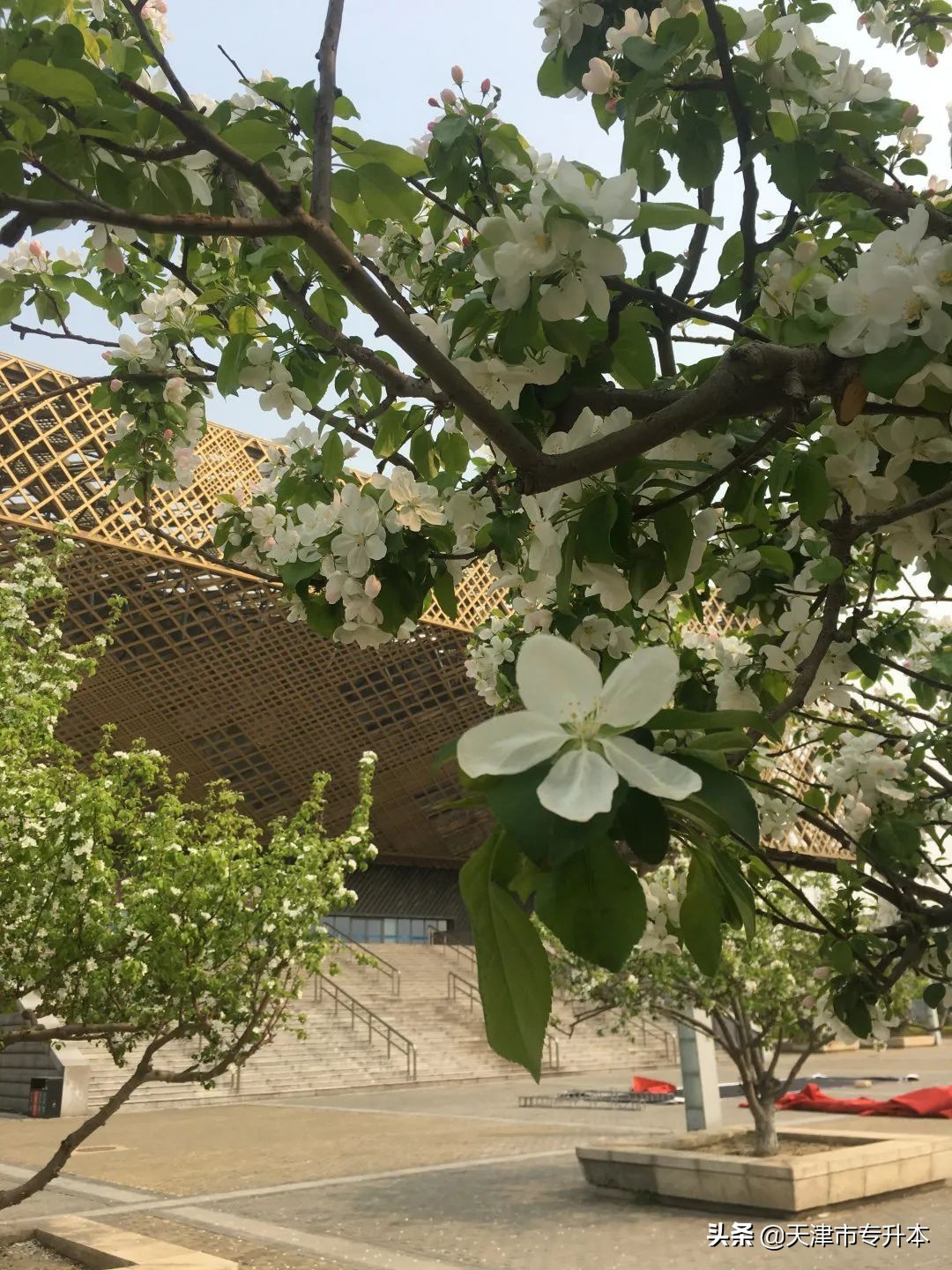 @天软新生，期待与你在天工大校园邂逅