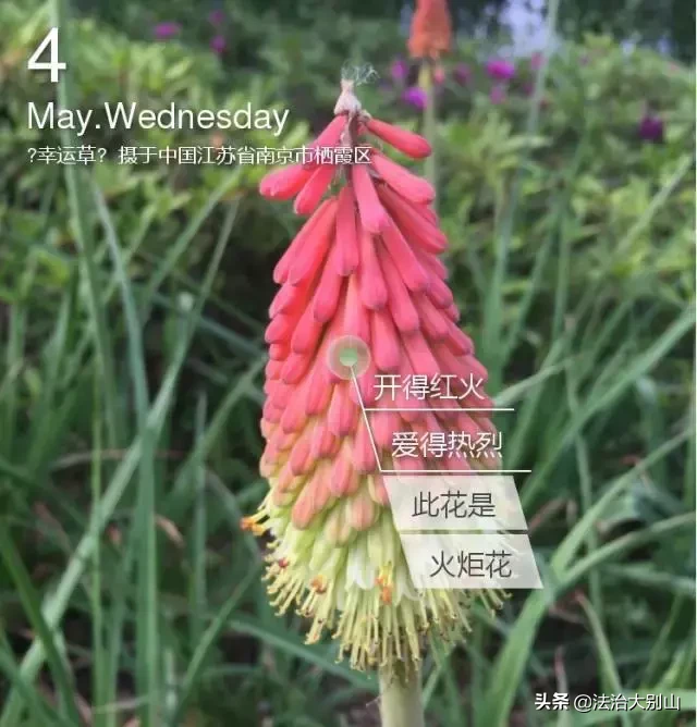 高考在即，黄冈中学名师教你各科踢好