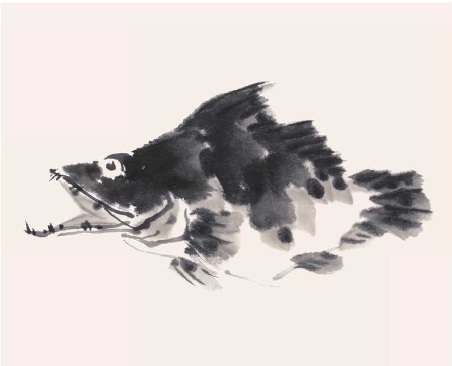 零基础水族的画法：怎么样用双勾发画金鱼鲤鱼？学会几分钟一幅画