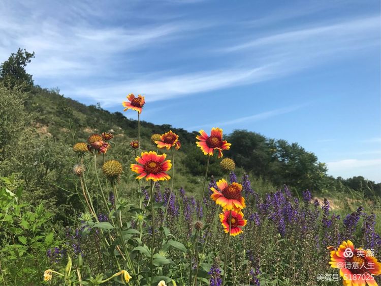 夏日登山汗如泉