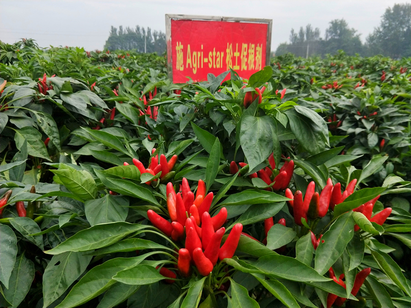 農(nóng)業(yè)品牌如何打造，看完或有新干法