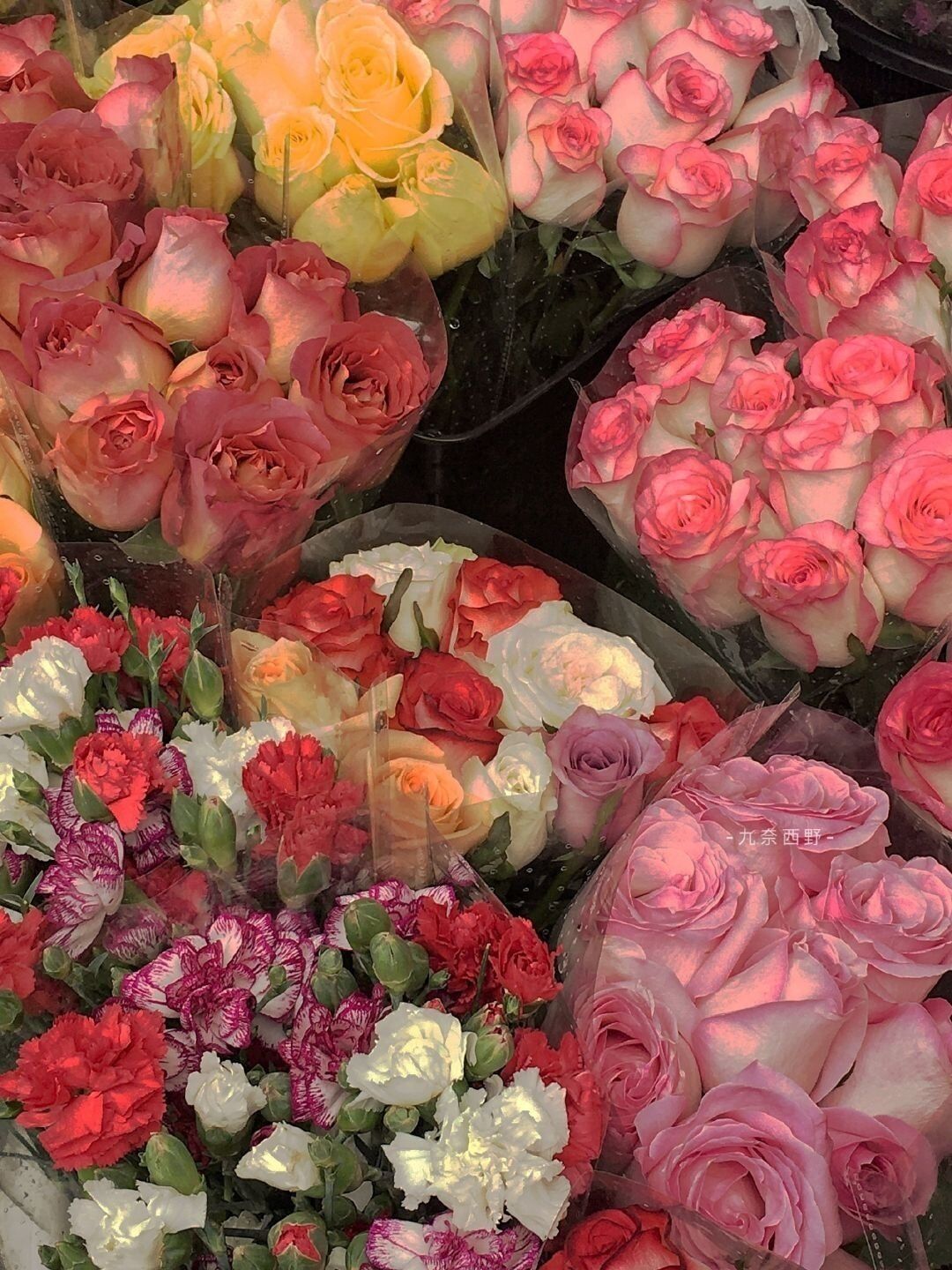 原创论文分享：印象派与后印象派作品比较