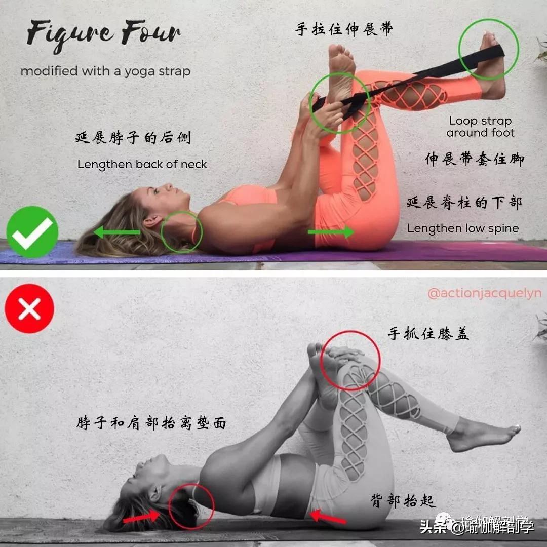 28个常见瑜伽体式“正误对比”图，初学者尤其要注意！（收藏级）