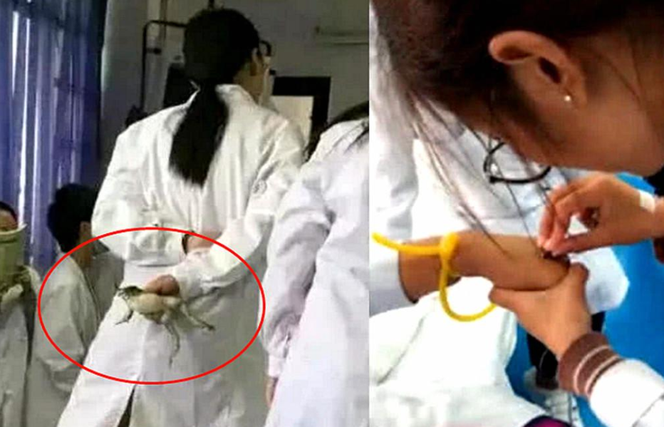 同样是“秀手”，美术生手脏艺术生手美，医学生的手叫人心酸