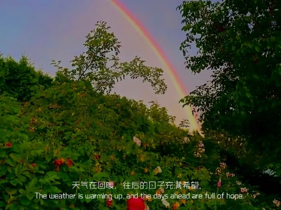 如何打造小红书爆款文案（小红书比较种草怎么样获得曝光）