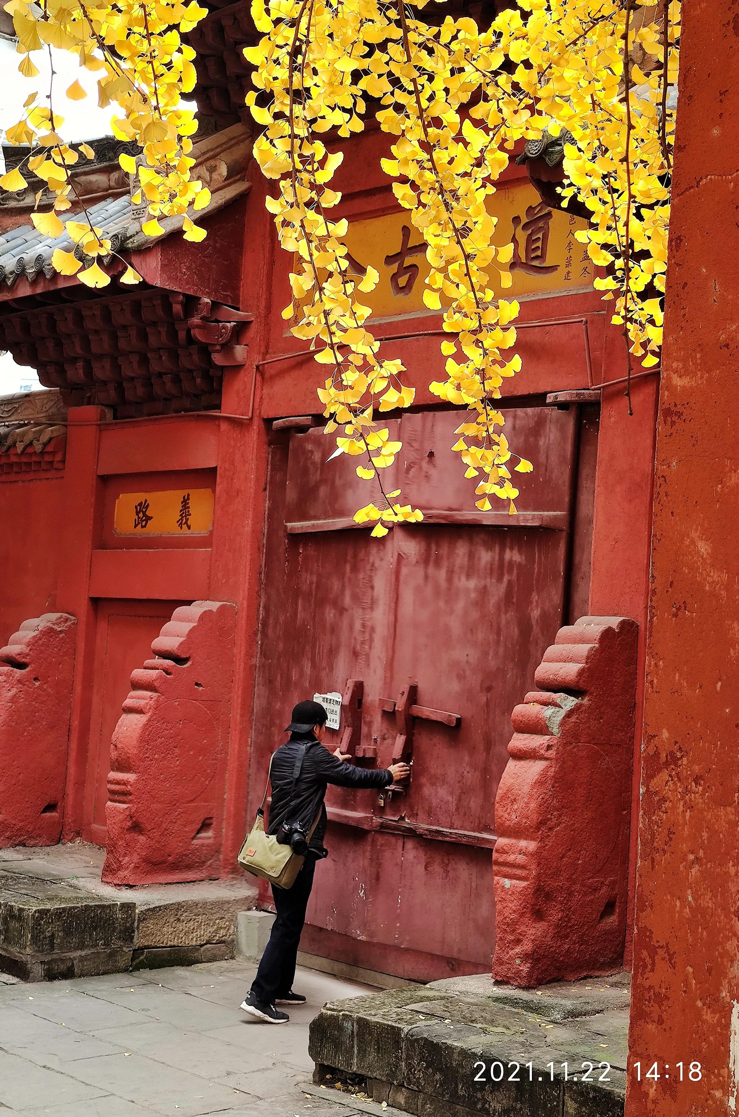 手拍世界（手机摄影平台）-群员作品集（总第733期）