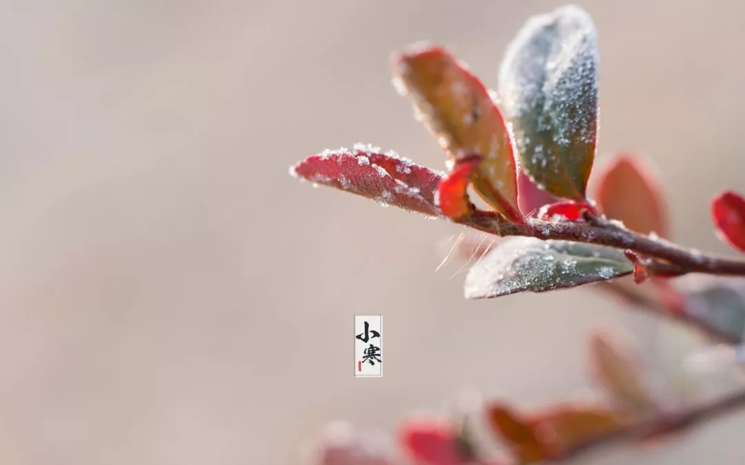 小寒节气唯美简单说说，小寒发朋友圈的暖心句子