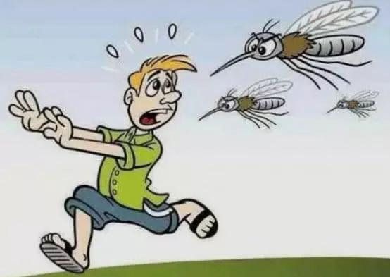 什么血型最容易被蚊子咬，真的是O型血吗？今天算长见识了！