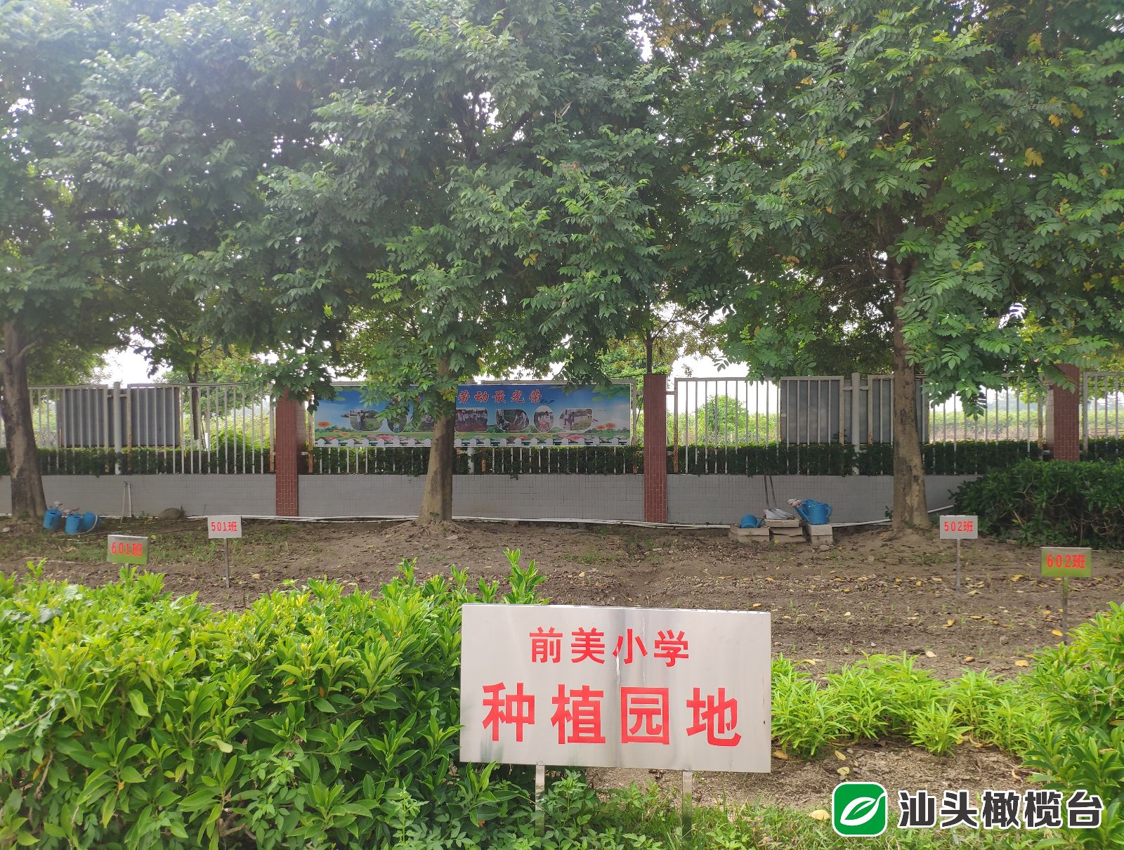 【打造区域教育高地】这些学校的办学特色是这样的……