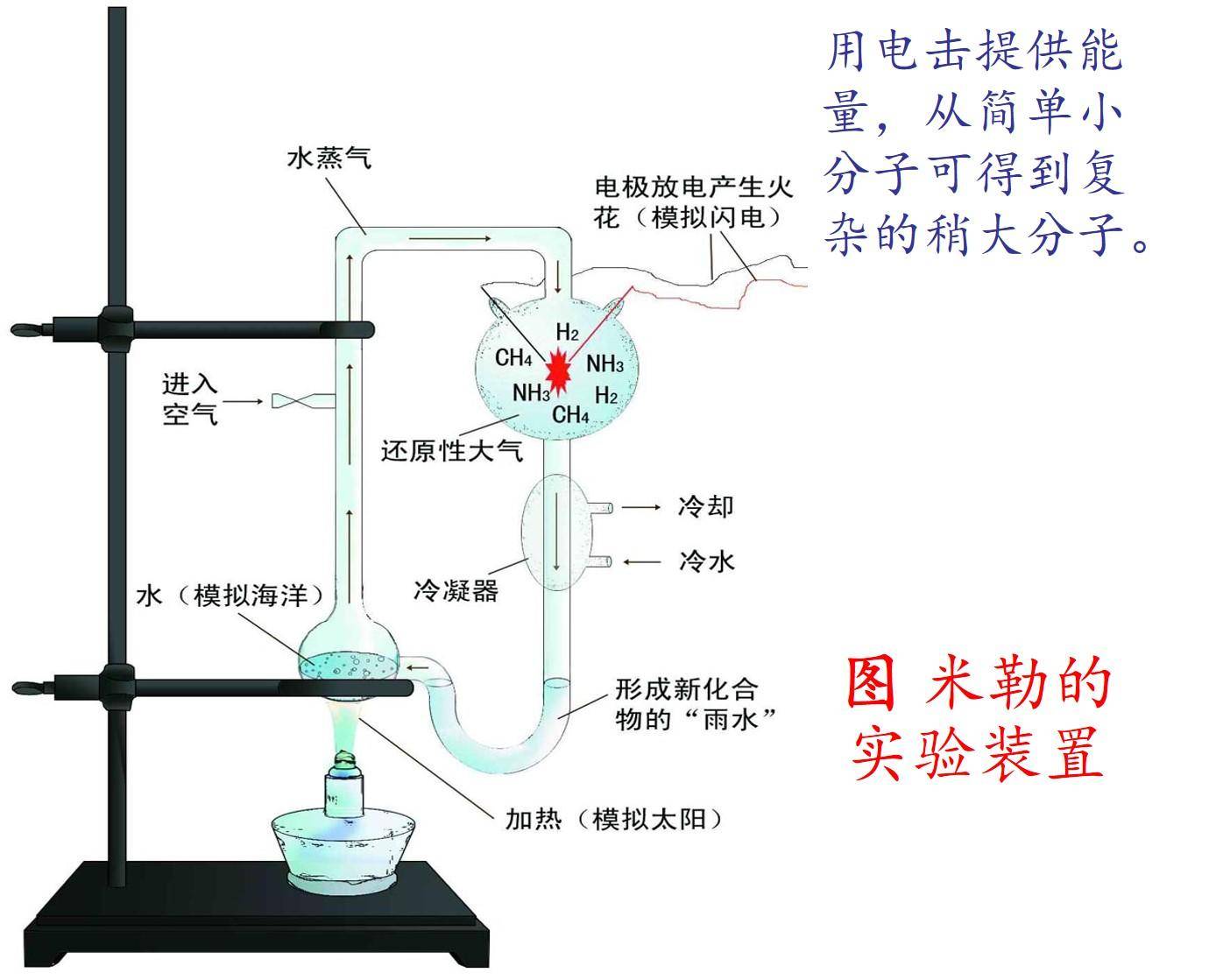 人类起源之谜：从无到有的生命奇迹