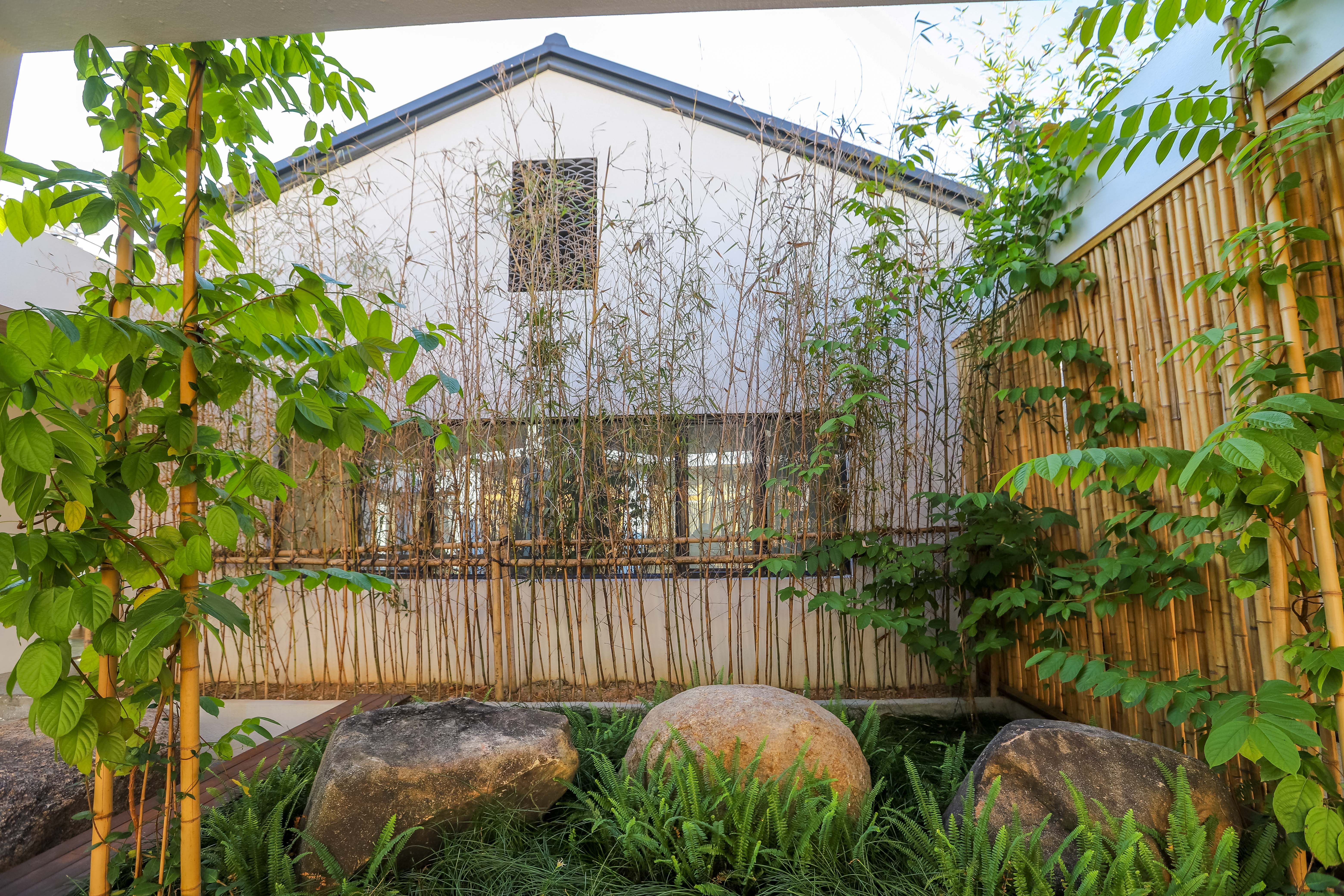 河源这家网红民宿,推窗就是乡村田园风光,太适合度假了