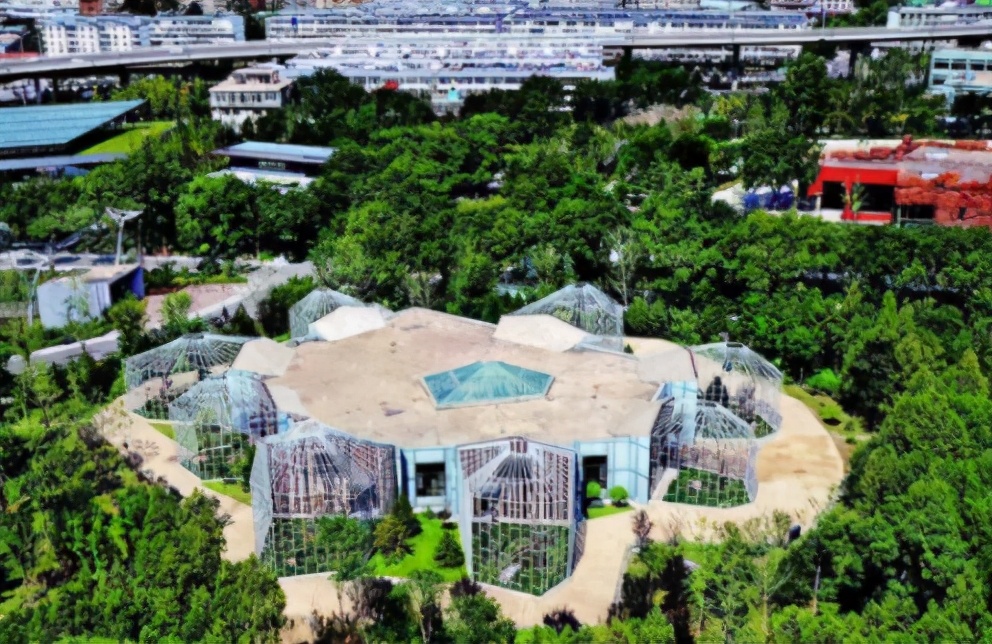 早安，太原！（2021.6.21）2021中考启幕；太原动物园开放时间有变；山西高考网报时间确定；今日夏至