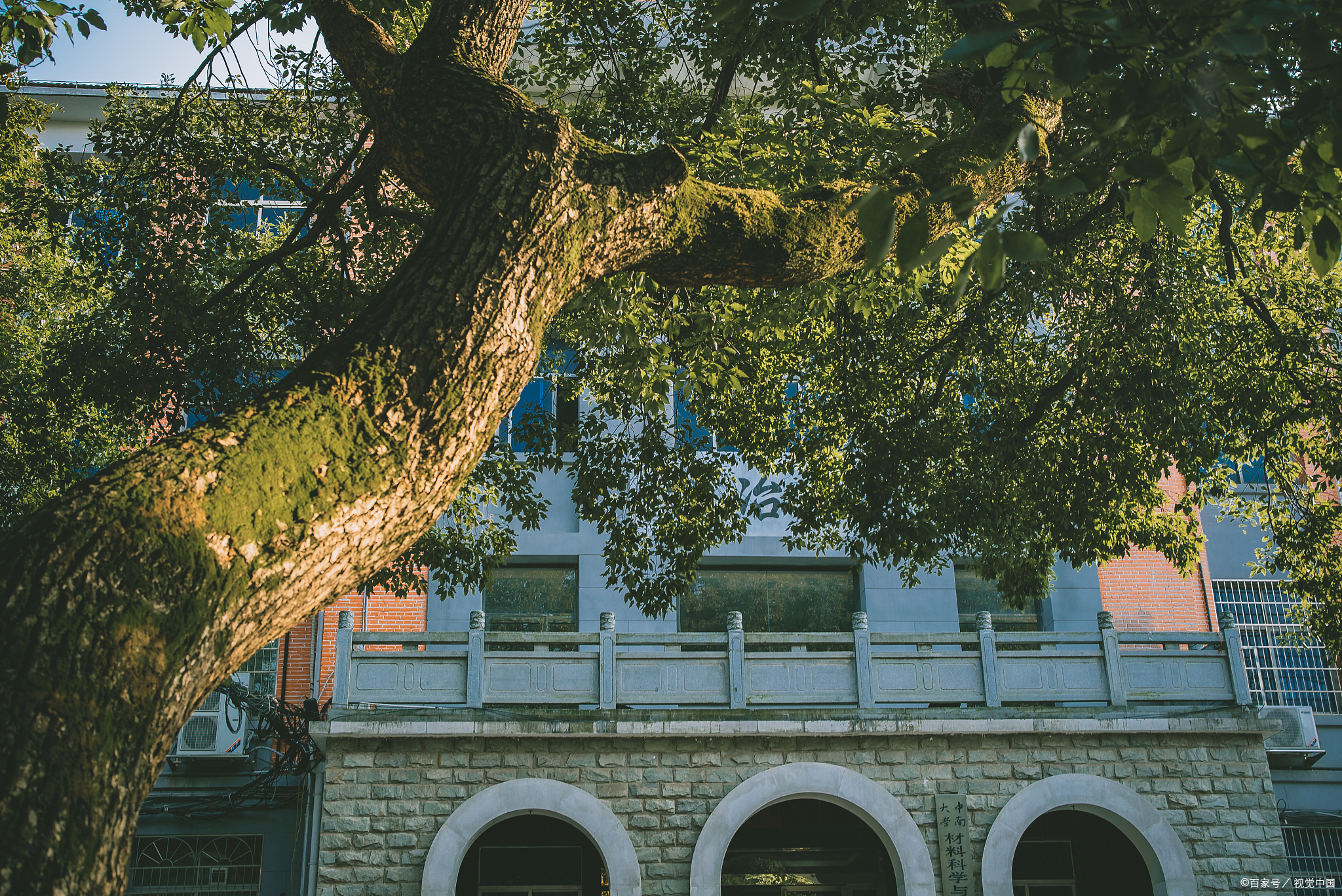 强推这所隐身“985”：超公平！给分绝！题目难度还在降